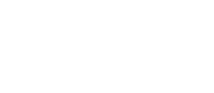 Competition Auto Group logo