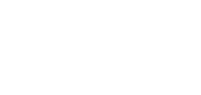 Creative Store Solutions Inc logo
