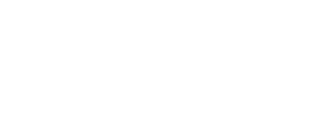 Eagle Eye Land & Aerial Surveying logo