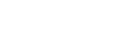 Flamingo Plumbing and Backflow logo