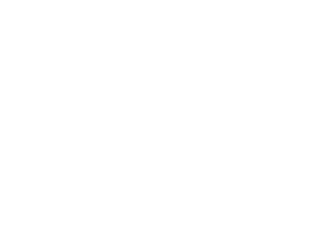 FlowVeda logo