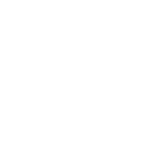Judicial Process & Support Inc logo