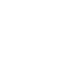 Lake Spur Marketing logo