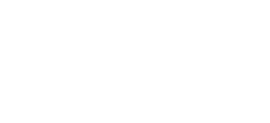Mentor Nissan logo