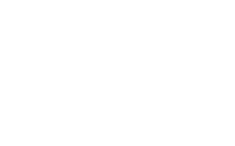 Noble Cosmetic Surgery logo