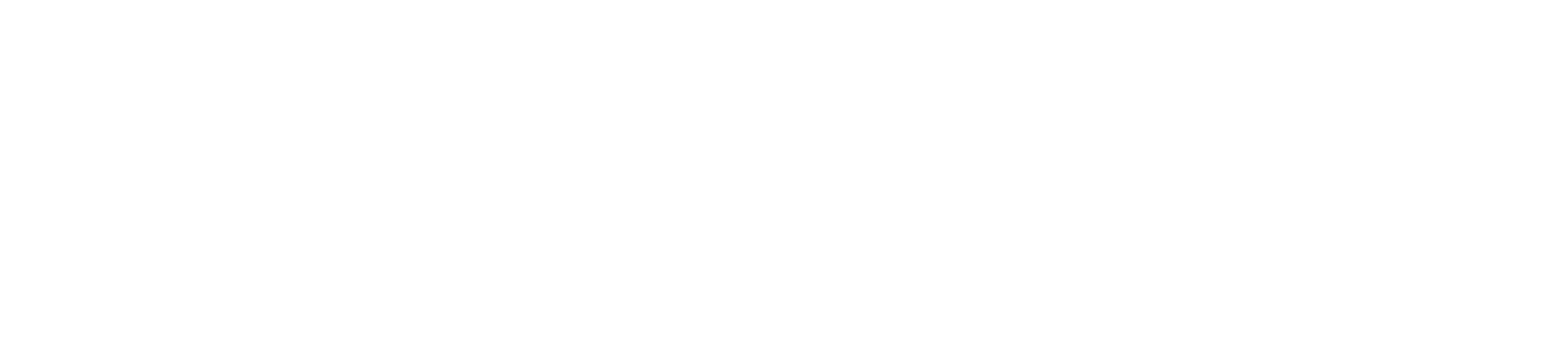 Paragon Sports logo