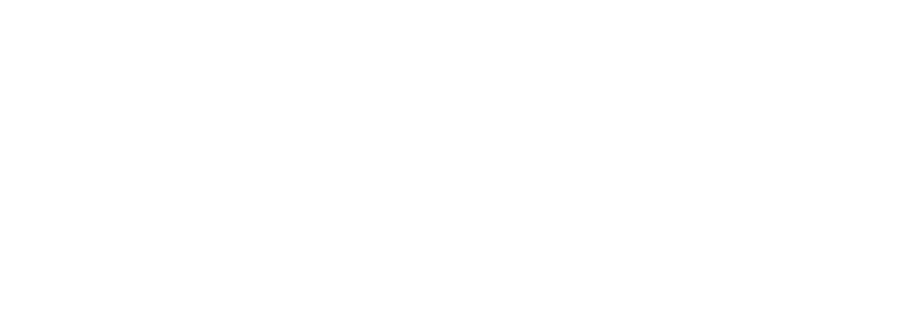 Porsche Brooklyn logo
