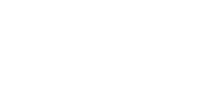 SITAL TECHNOLOGY USA, LLC logo