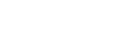 Wise Guys Dumpsters logo