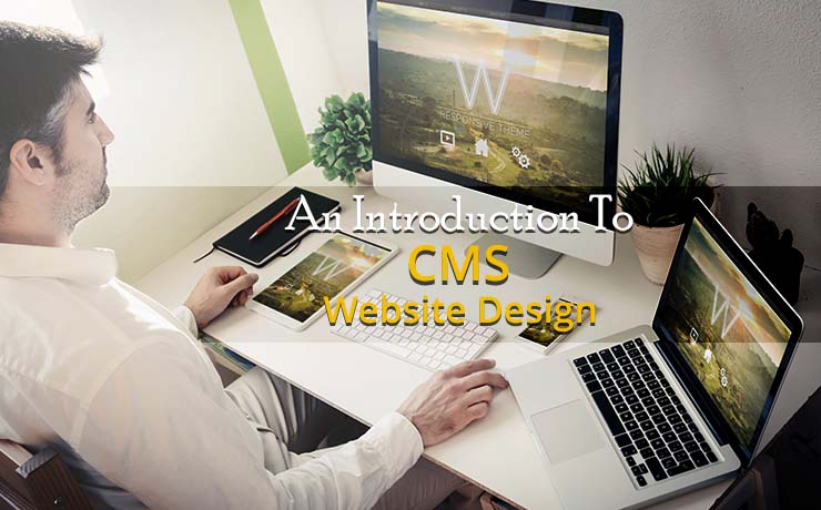 CMS website design