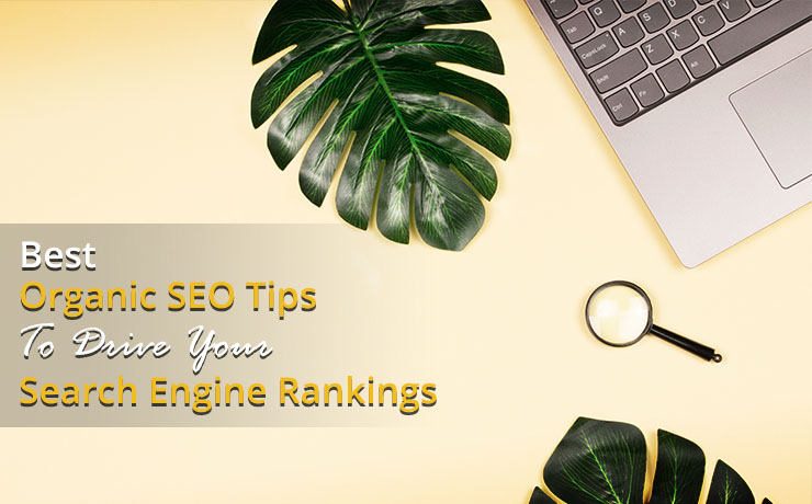 organic SEO