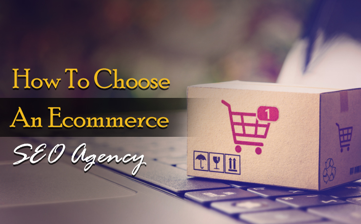 Ecommerce SEO Agency