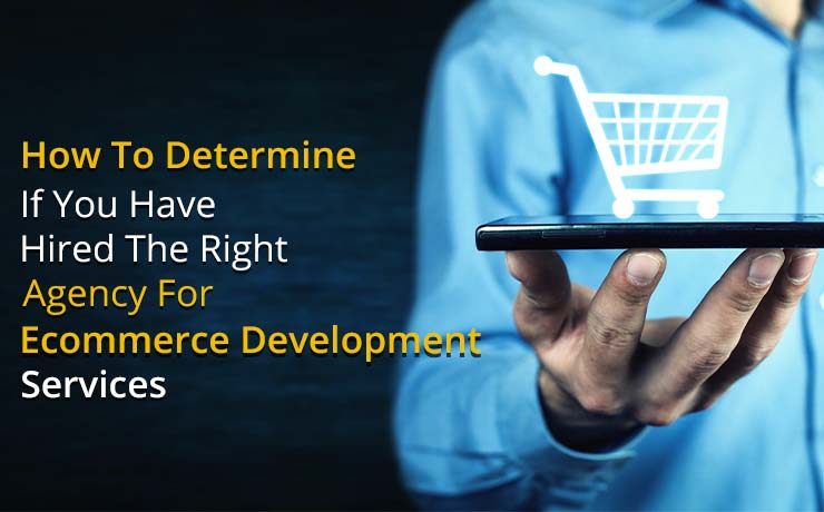 Ecommerce Development Services