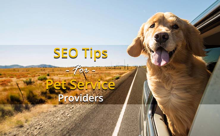 SEO Tips For Pet Service Providers
