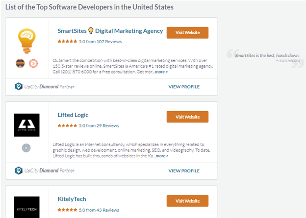 Software Developers In The United States