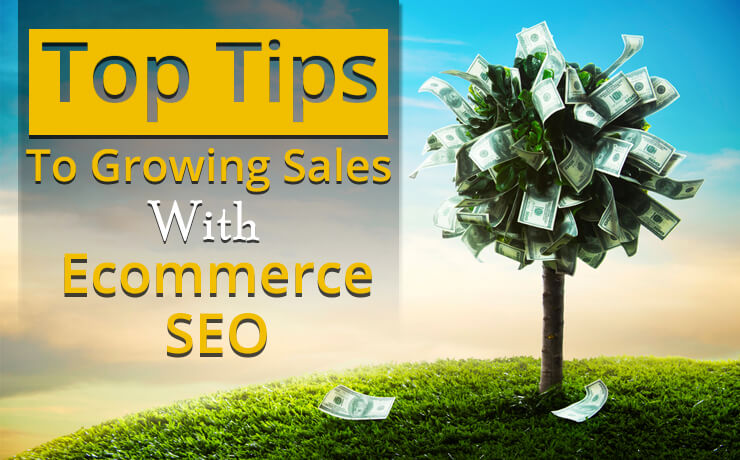 Ecommerce SEO