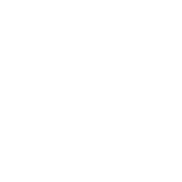 Acellus Academy
