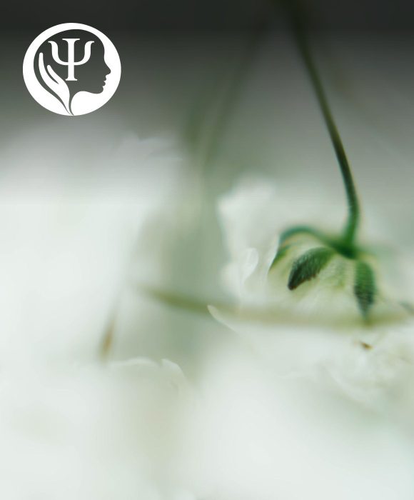 Agape Health and Wellness marketing case study