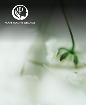 Agape Health and Wellness marketing case study