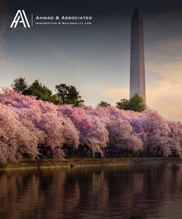 Ahmad & Associates marketing case study
