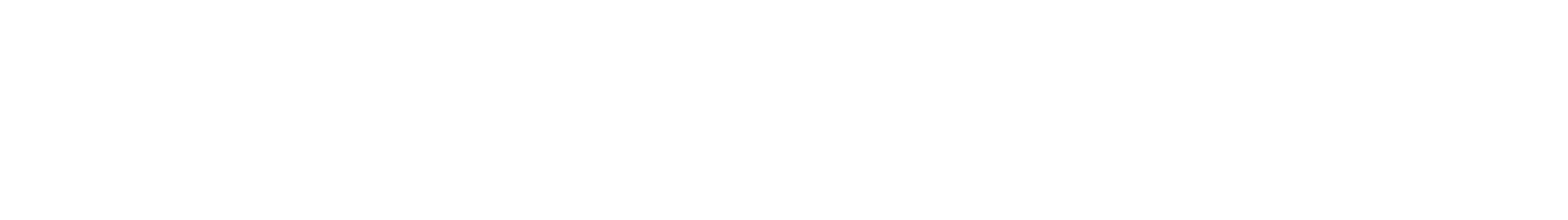 Ammon Labs