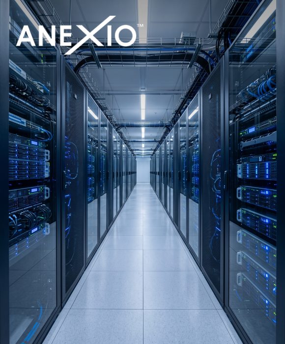 Anexio marketing case study