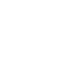 Arcarius logo