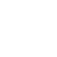Aunt Flow logo