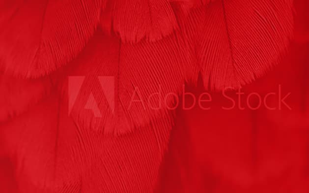 Backround Bedrosian Industries