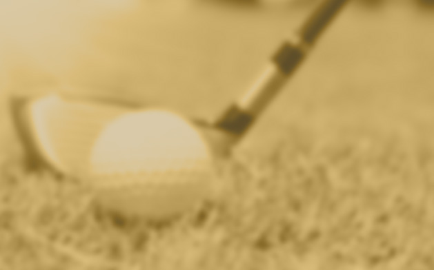 Background PGA Village