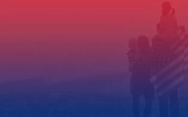 Shulman Law Background