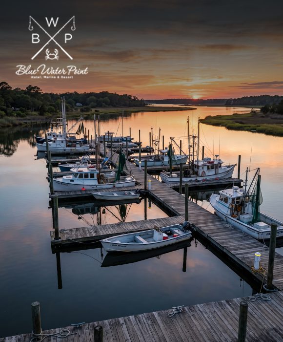Blue Water Point Marina marketing case study