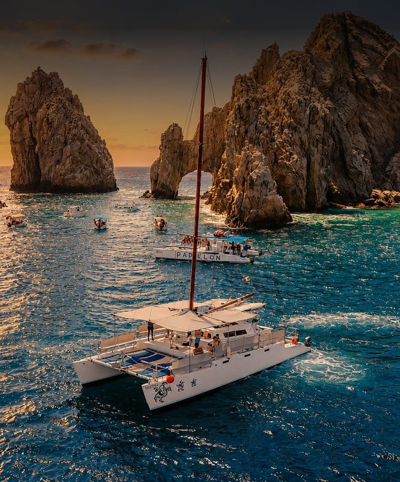 Boat Trips Los Cabos marketing case study