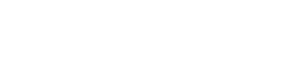 Brave Writer