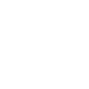 Bunce Buildings logo