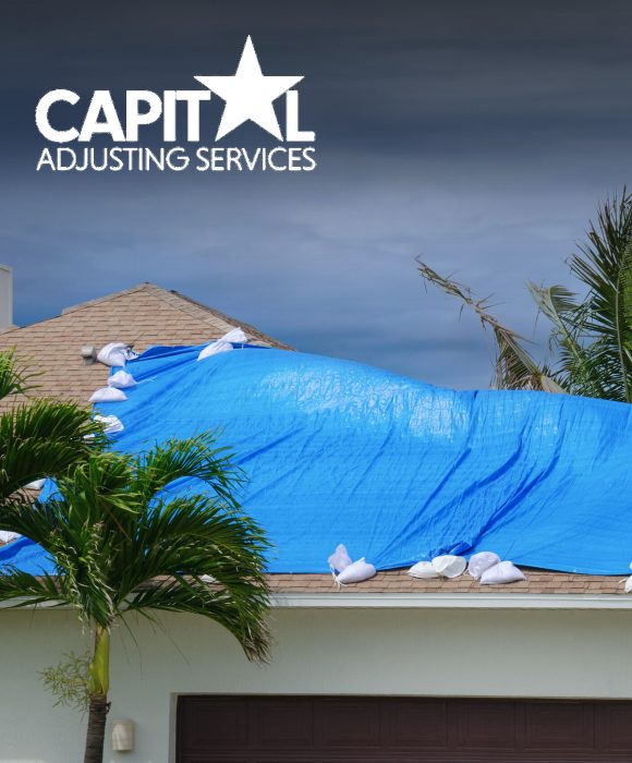 Capital Adjusting Services marketing case study