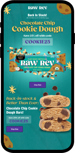 Chocolate Chip Cookie Dough Email Design