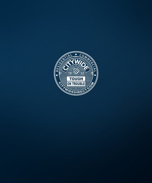 Citywide Direct marketing case study