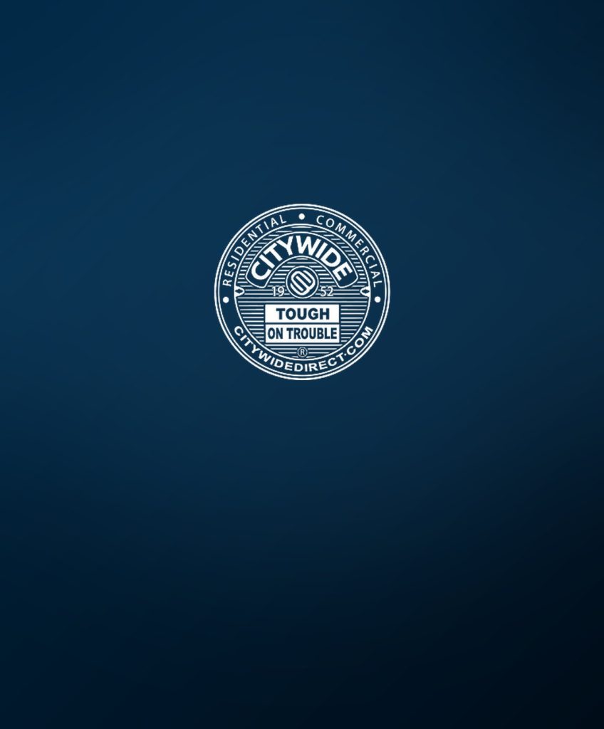 Citywide Direct marketing case study