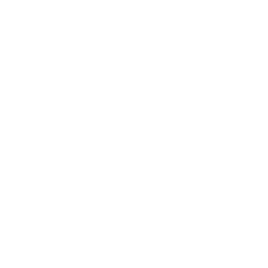 CNS Confectionery Products logo