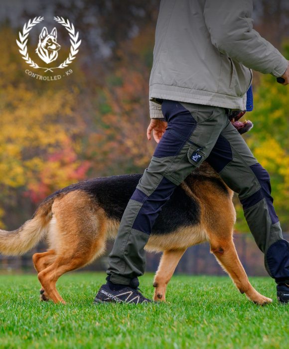 Controlled K9 marketing case study