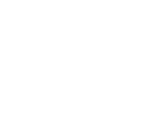 Council Vision logo