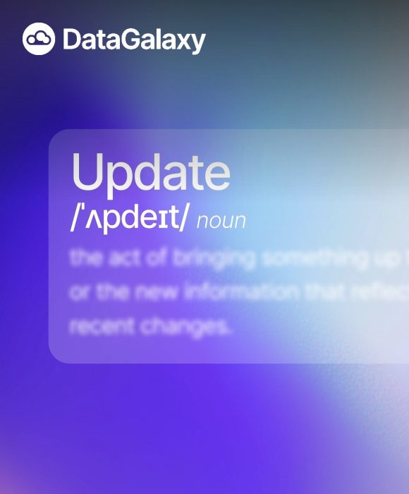 DataGalaxy marketing case study