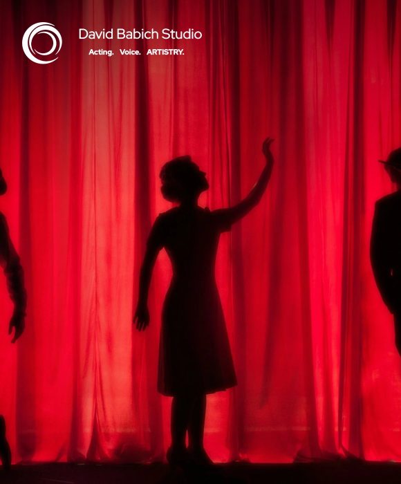 David Babich Studio marketing case study