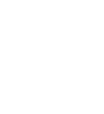 DELIBERICO LLC