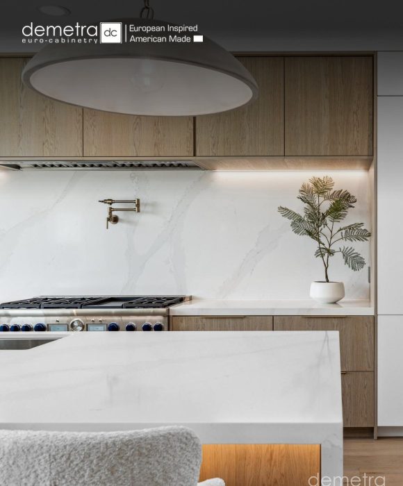 Demetra Cabinetry case study