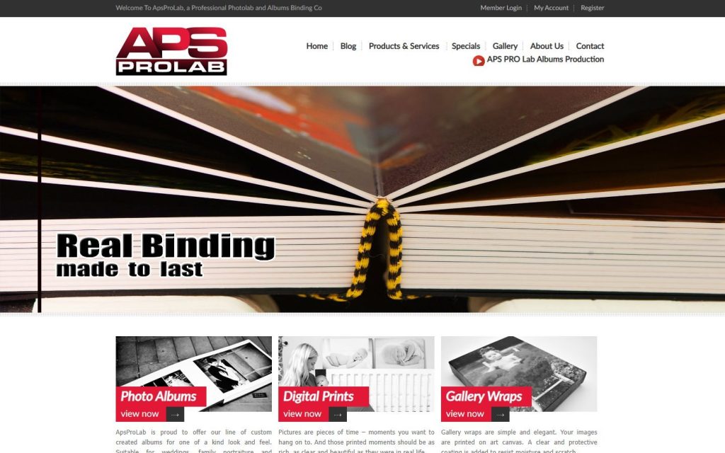 APS Prolab website home page