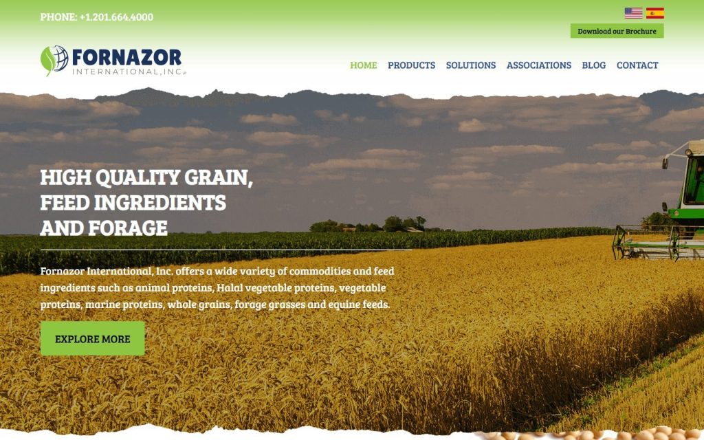 Fornazor International homepage on a laptop