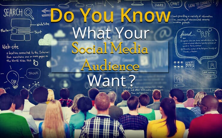 social media audience