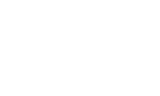 Dolphin Discoveries
